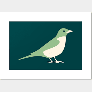 American Robin (Mint) Posters and Art